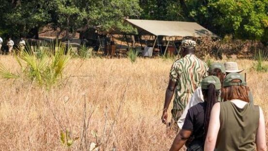 People on a walking safari in Zambia