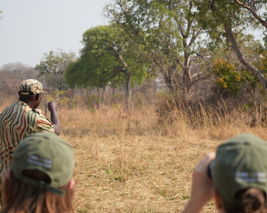 Walking Safari