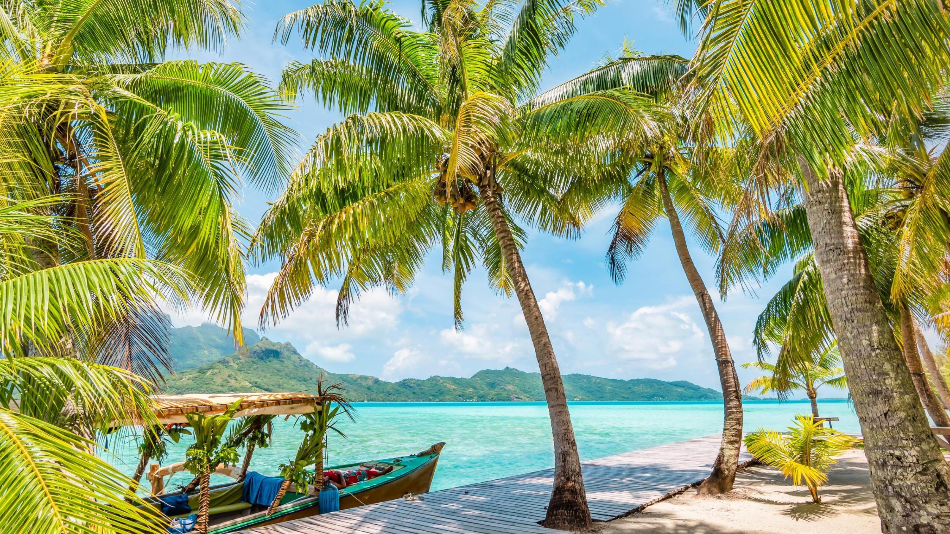 Beautiful landscape with coconut palm trees on tropical Island of Bora Bora. Decorated tourist boat moored at wooden quay.