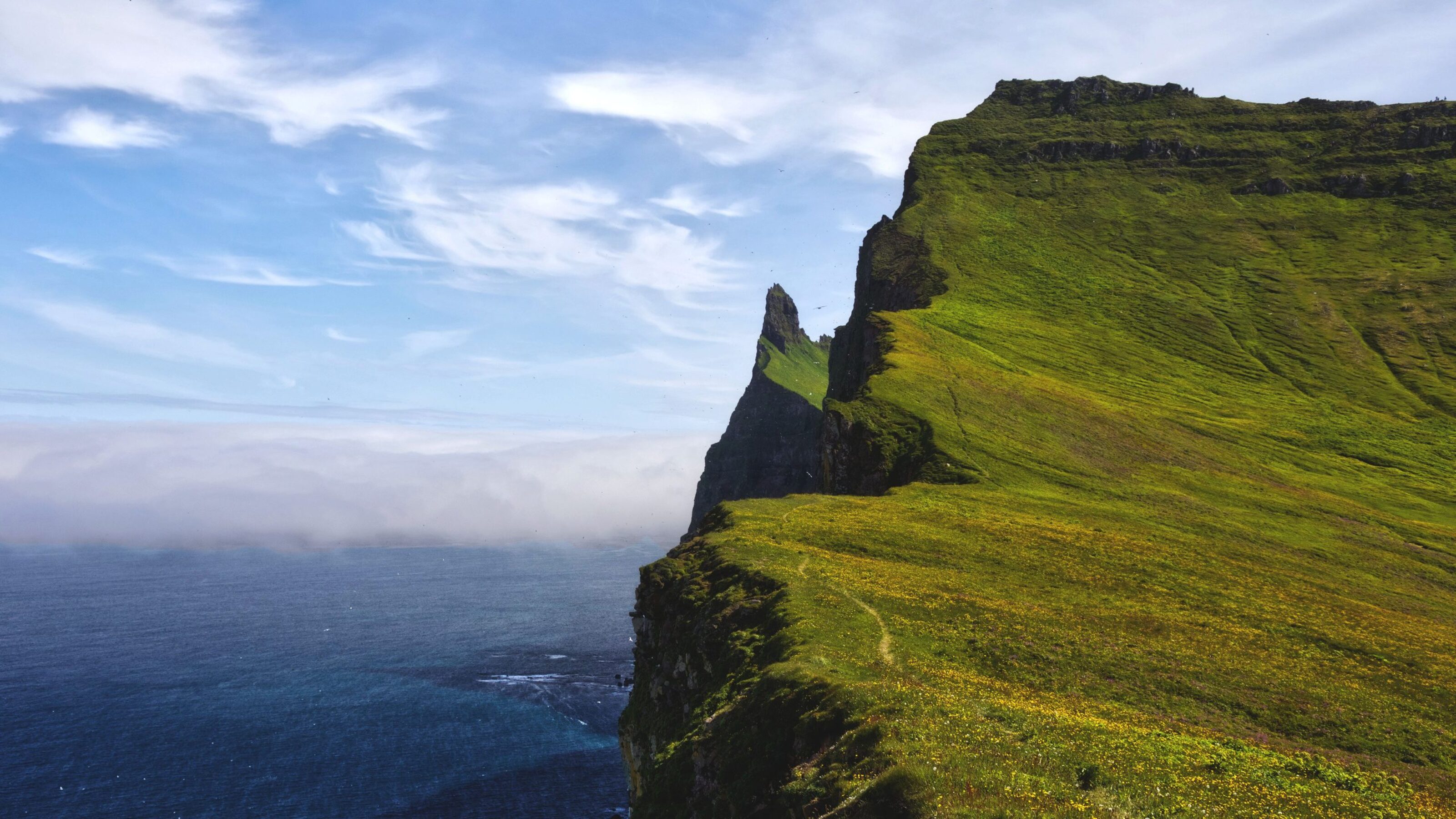 Coastal cliffs with green grass under a blue sky with light clouds.