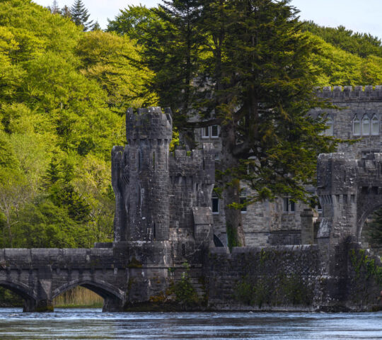 Venture into the forests around Ashford Castle