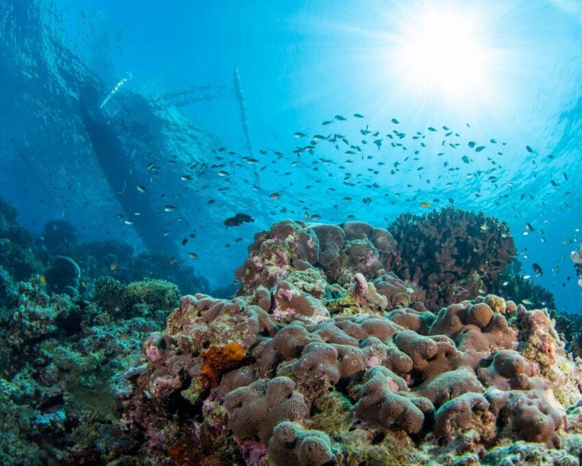 Komodo National Park cruise: Day 3