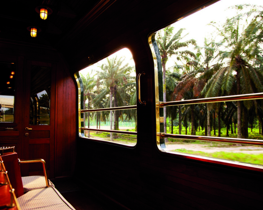 Alternative Route: Wild Malaysia