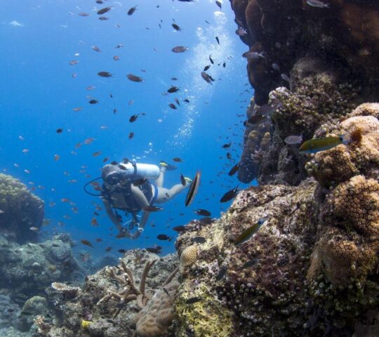 Bawah Reserve offers a range of water–based activities