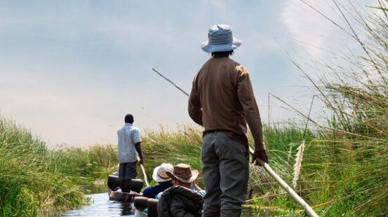 People on a narrow boat being poled through reeds under a blue sky.