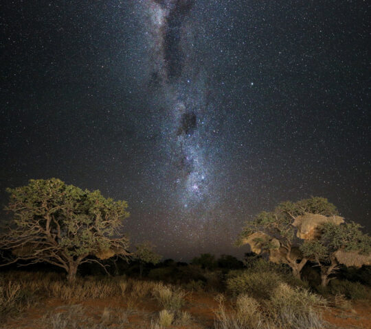 Sleep beneath the stars