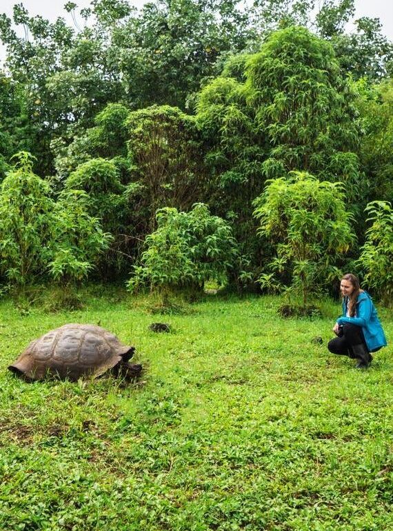 A woman crouched near a large giant tortoise in a grassy field with Jacada.