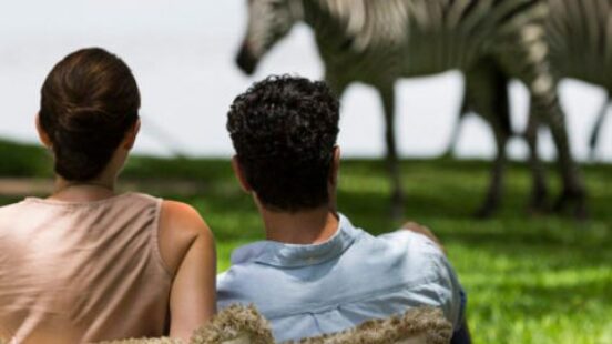Two people sitting and watching a zebra by a lake.