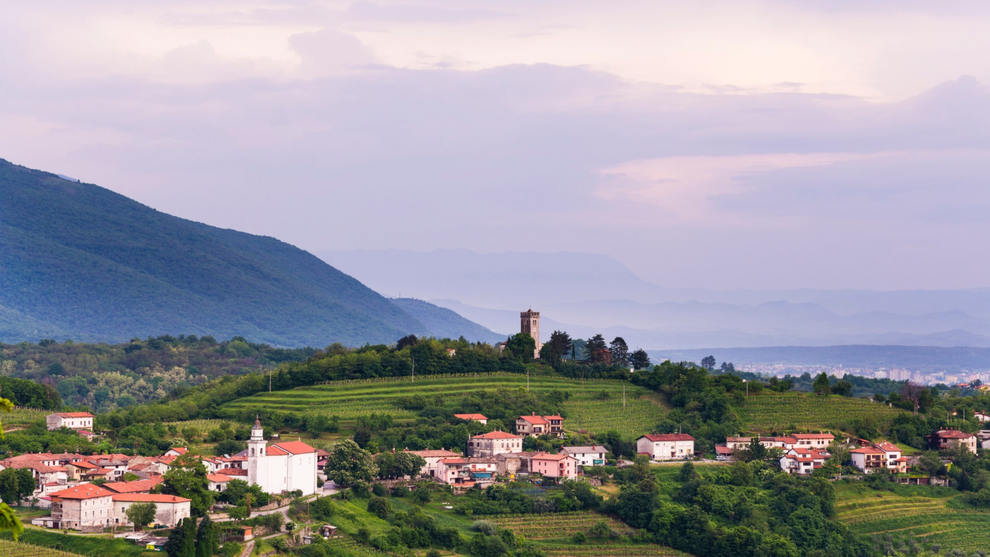 Vineyards and the hill top town of Kojsko, Goriska Brda (Gorizia Hills), in Brda, the wine region of Slovenia, Europe