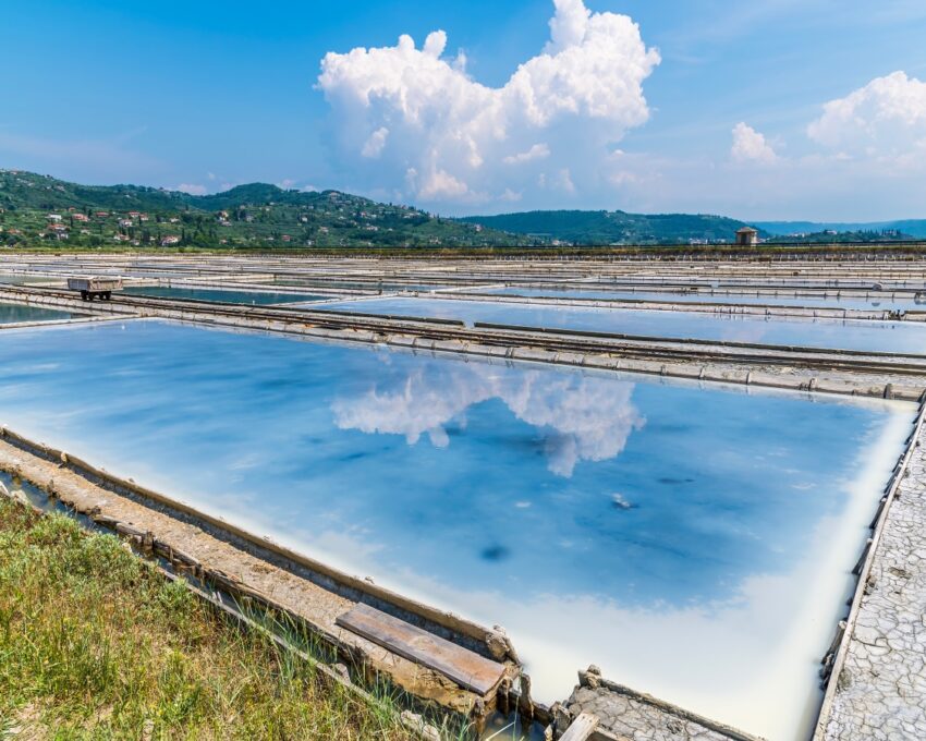 Visit the Soline Salt Pans
