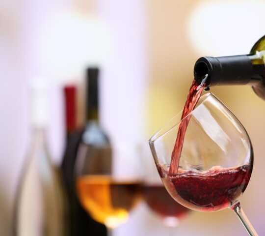 Tasting Uruguay's finest wines