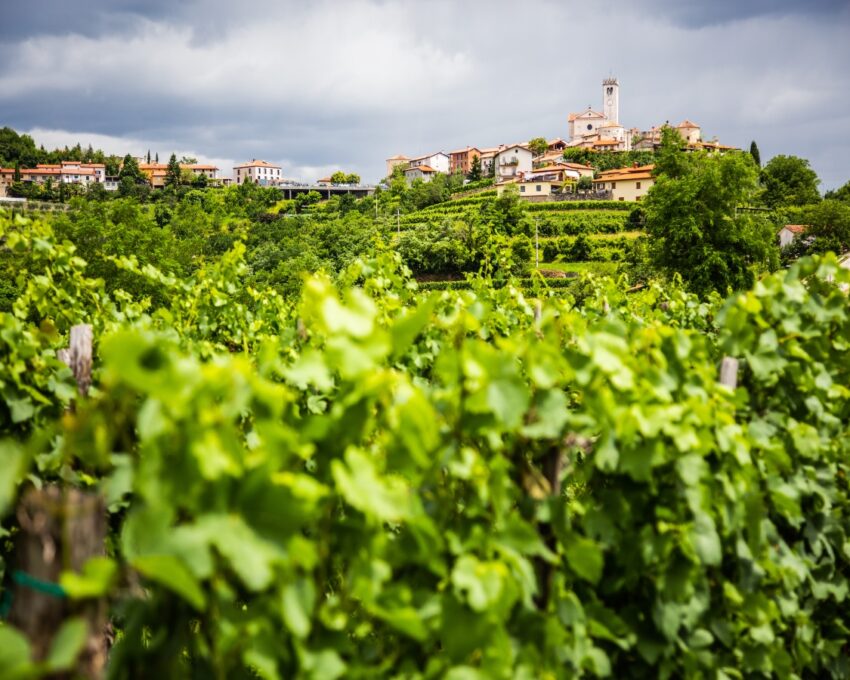 Discover the charm of Smartno