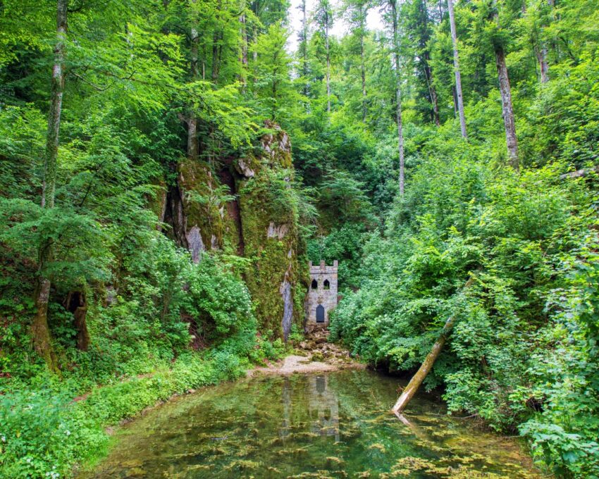 Hike the UNESCO Snežnik-Ždrocle Virgin Forest