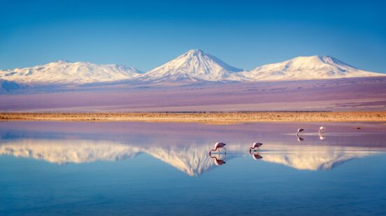 Flamingos in a reflective salt lake with snowy mountains in the background.