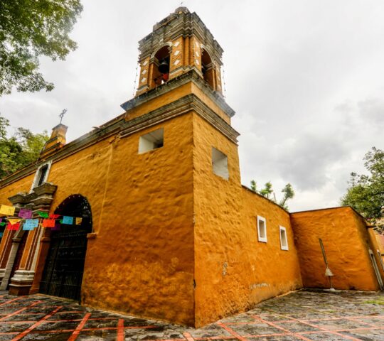 Explore Coyoacan in Mexico City