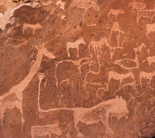 Marvel at the Twyfelfontein rock carvings