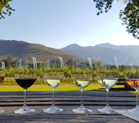 Taste some of South Africa's finest wines