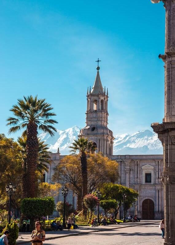 A cathedral spire against a backdrop of snow-capped mountains and blue sky, flanked by palm trees.