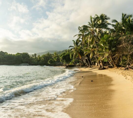 One of Tayrona National Park's powdery beaches