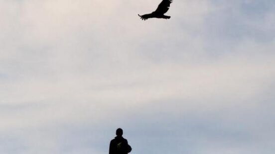 Silhouette of a person and a bird in flight against a cloudy sky.