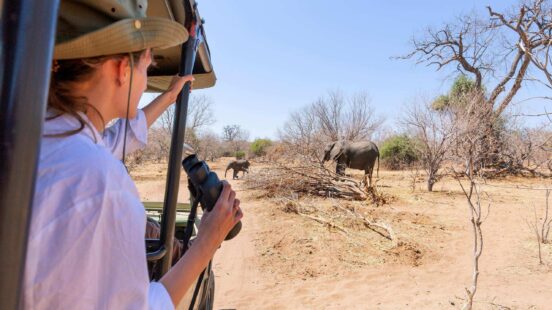 Watching elephants from a safari jeep in Africa