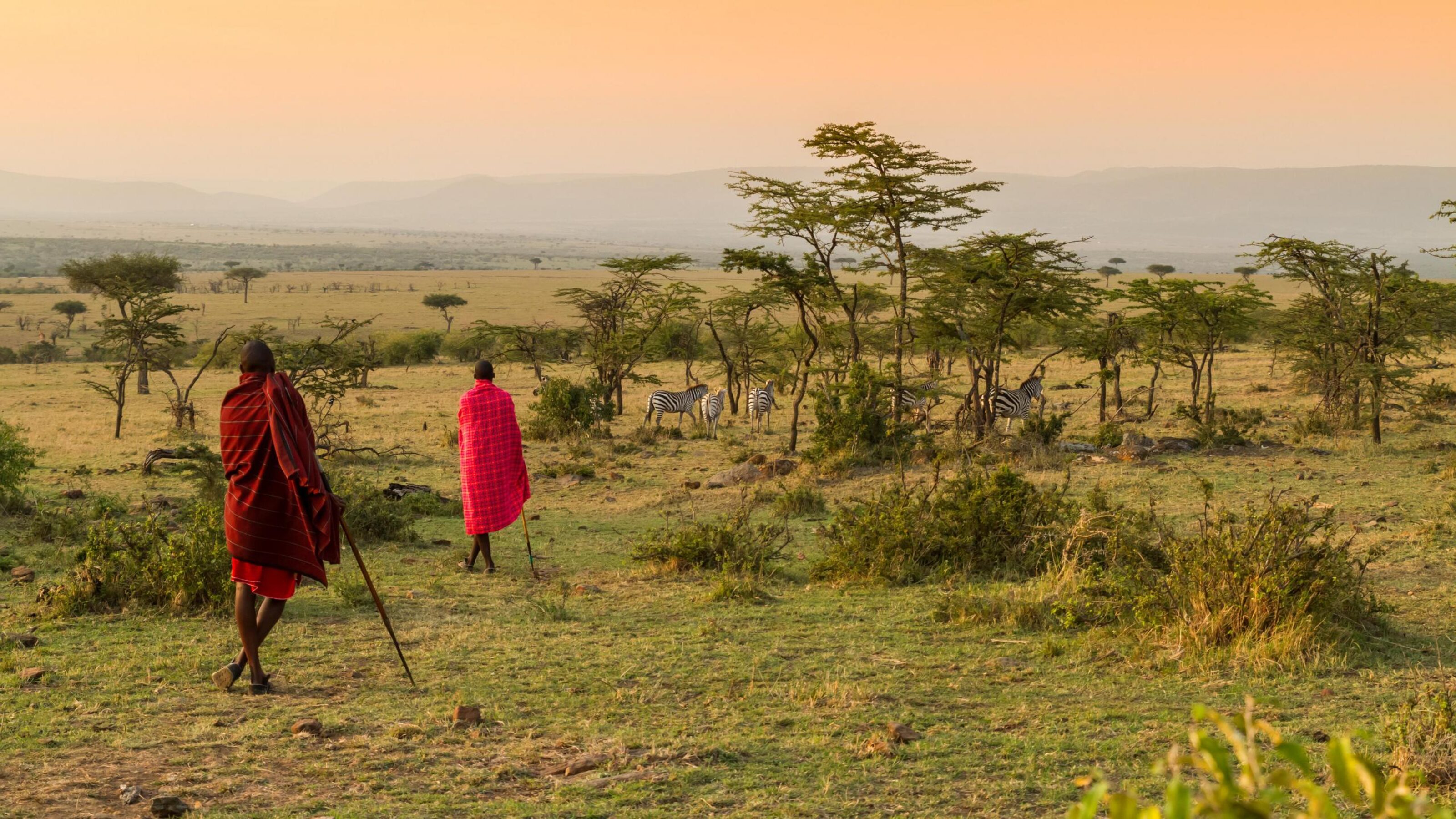 Maasai people walking among the greenery in the Maasai Mara