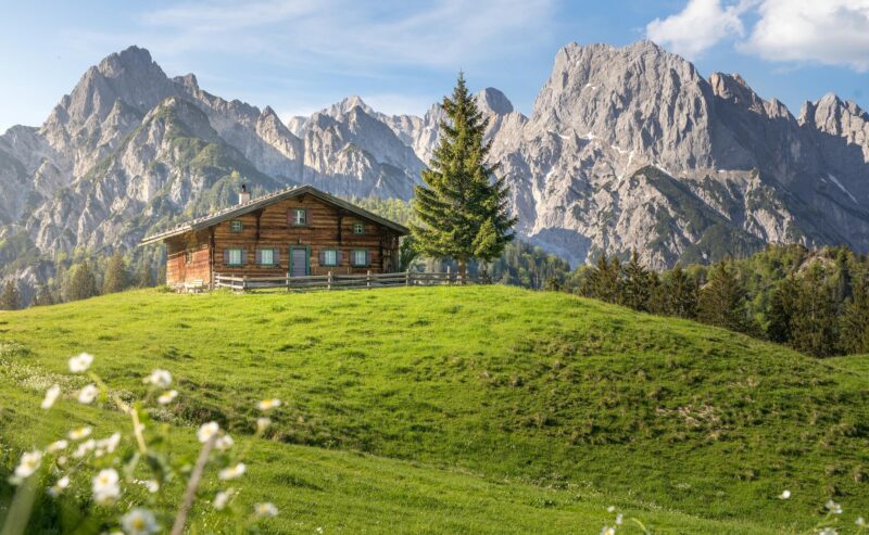 A wooden cabin on a green hill with mountain backdrop and wildflowers in foreground.