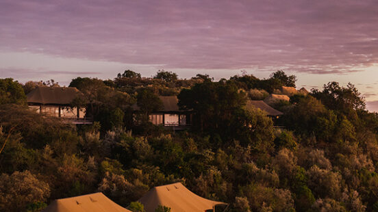 Luxury tents on stilts amidst greenery at twilight.