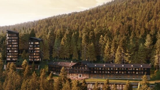 Modern buildings nestled in a dense pine forest during sunset.