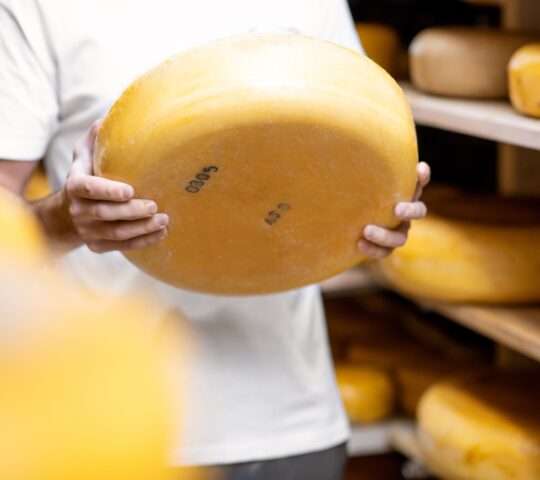 Learning about cheese production in Bergen