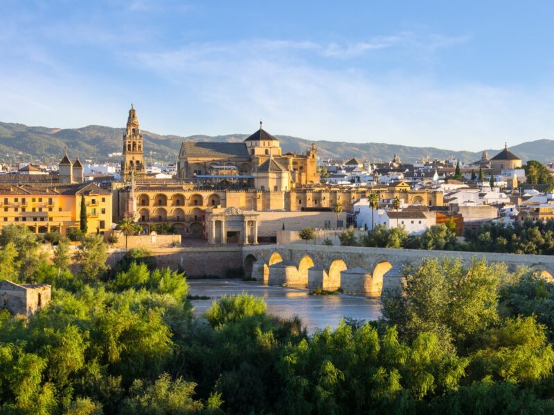 Panoramic view of a historic city with a cathedral, old bridge, and river, set against a backdrop of hills.