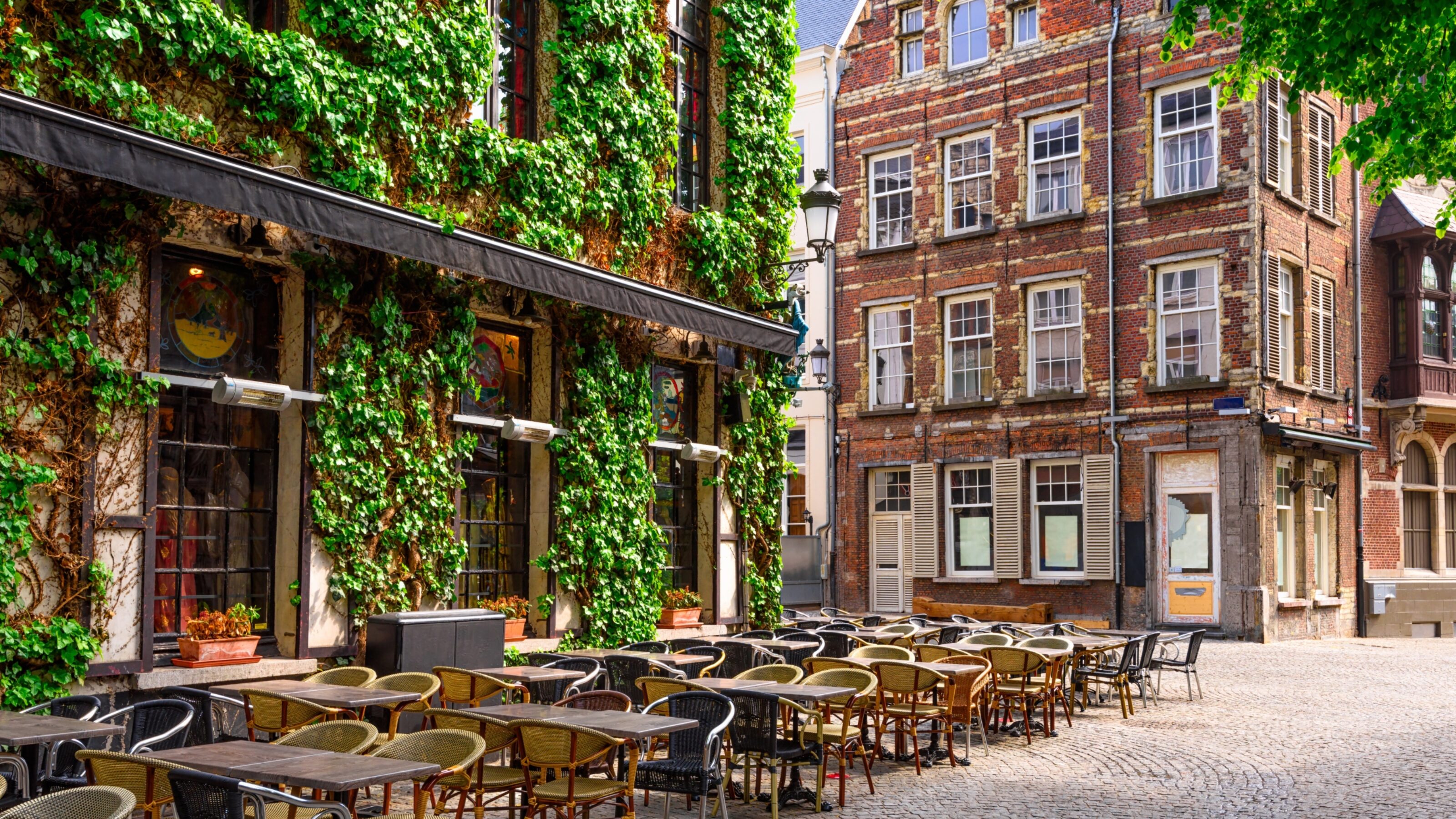 Outdoor cafe seating with ivy-covered building on a cobblestone street.