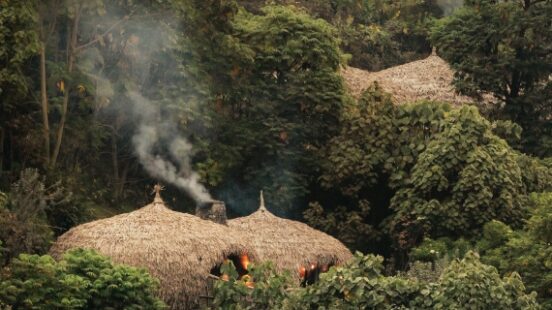 Thatched-roof huts hidden among lush green forest foliage with smoke rising.
