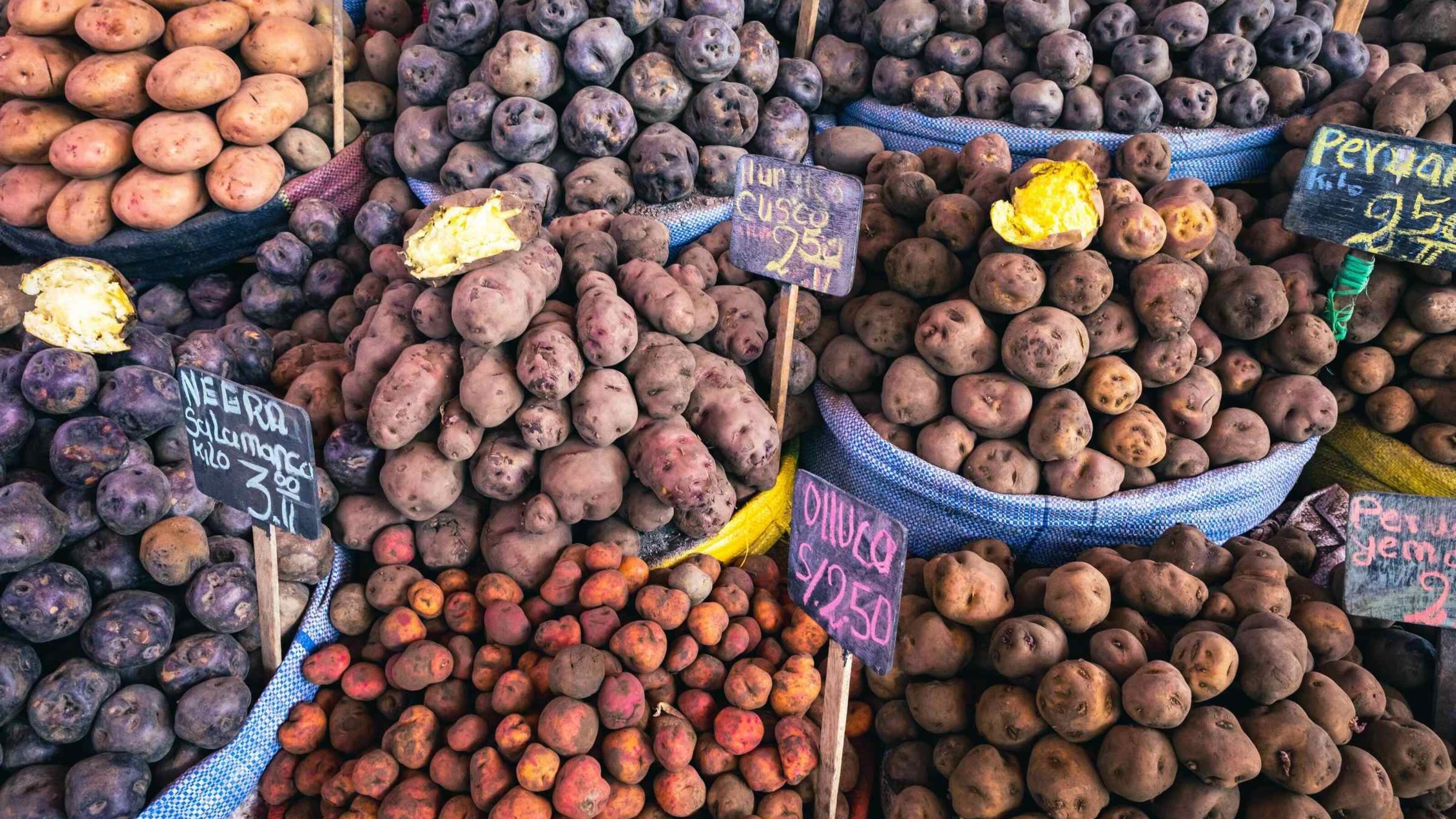 Luxury Peru Tours - different varieties of potatoes at a market in Peru