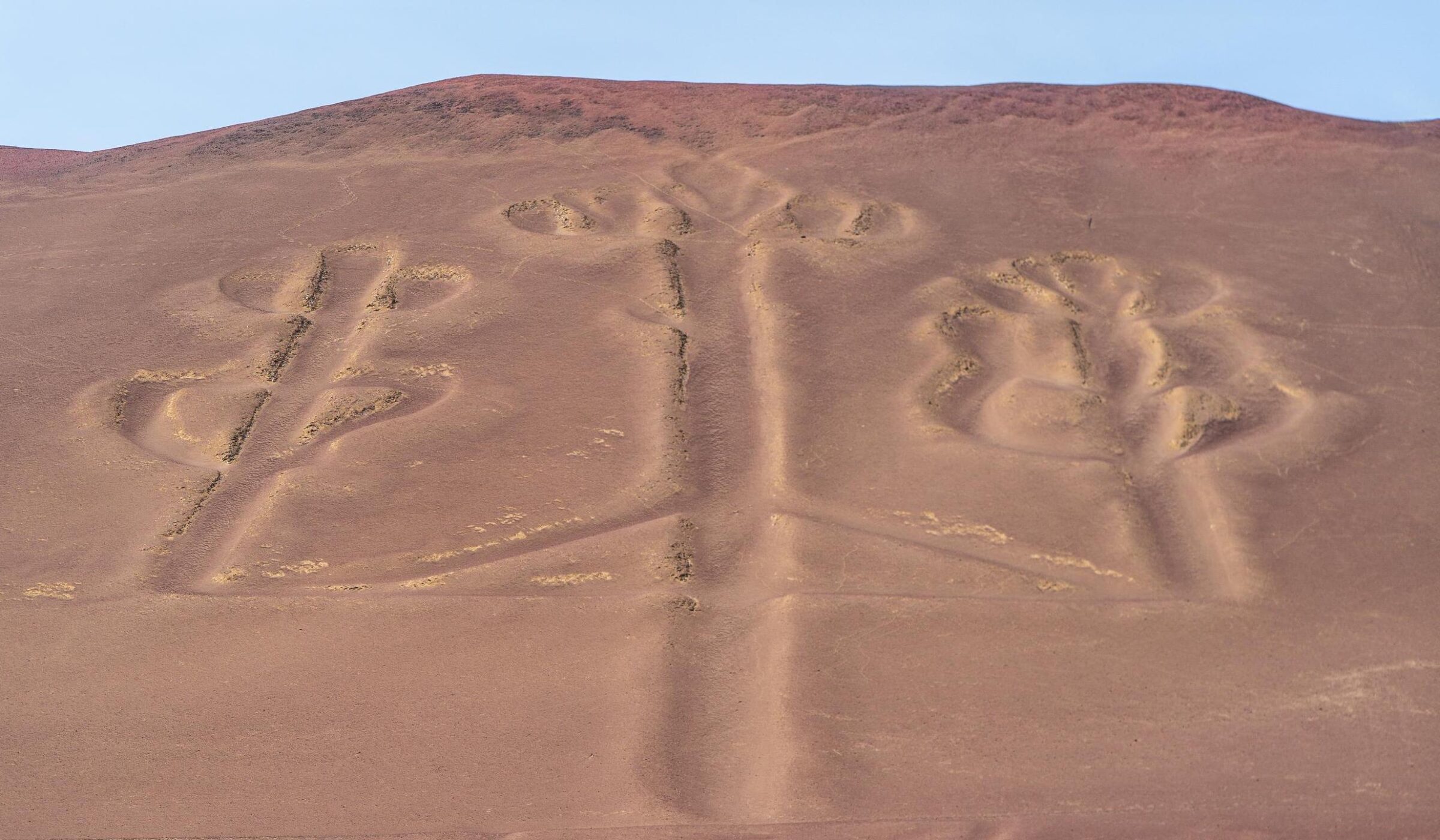 Ancient geoglyphs resembling trees etched into a brown desert hillside.