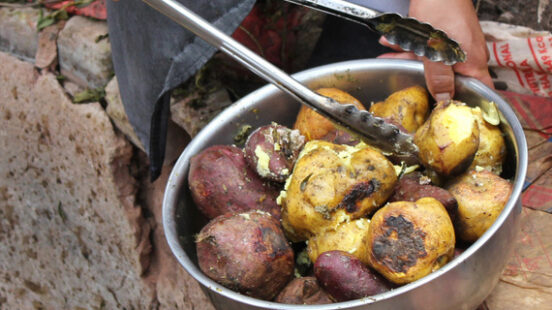 A bowl of roasted potatoes being served during positive impact tours.