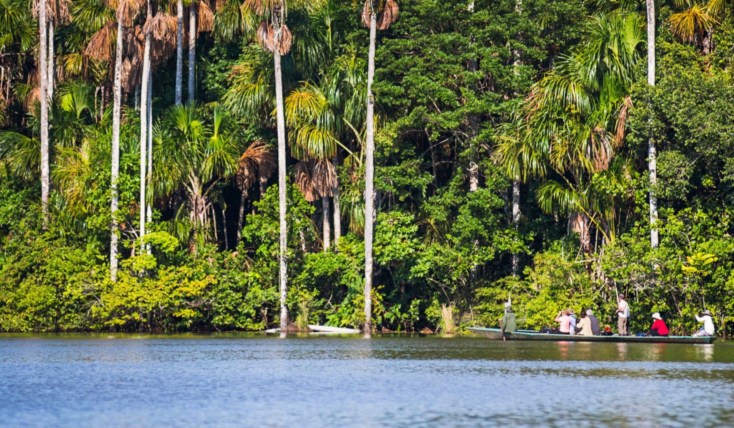 People in boats on a river with tall palm trees and lush greenery in the background.
