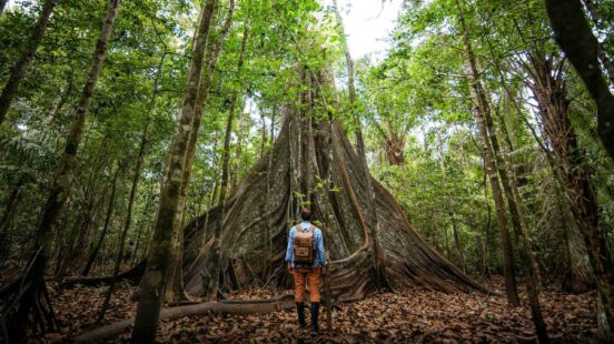 A man stood in front og a giant tree in the Amazon rainforest