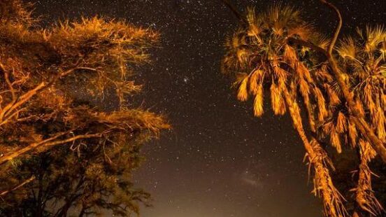 Night scene with stars at Samburu National Reserve, Kenya.