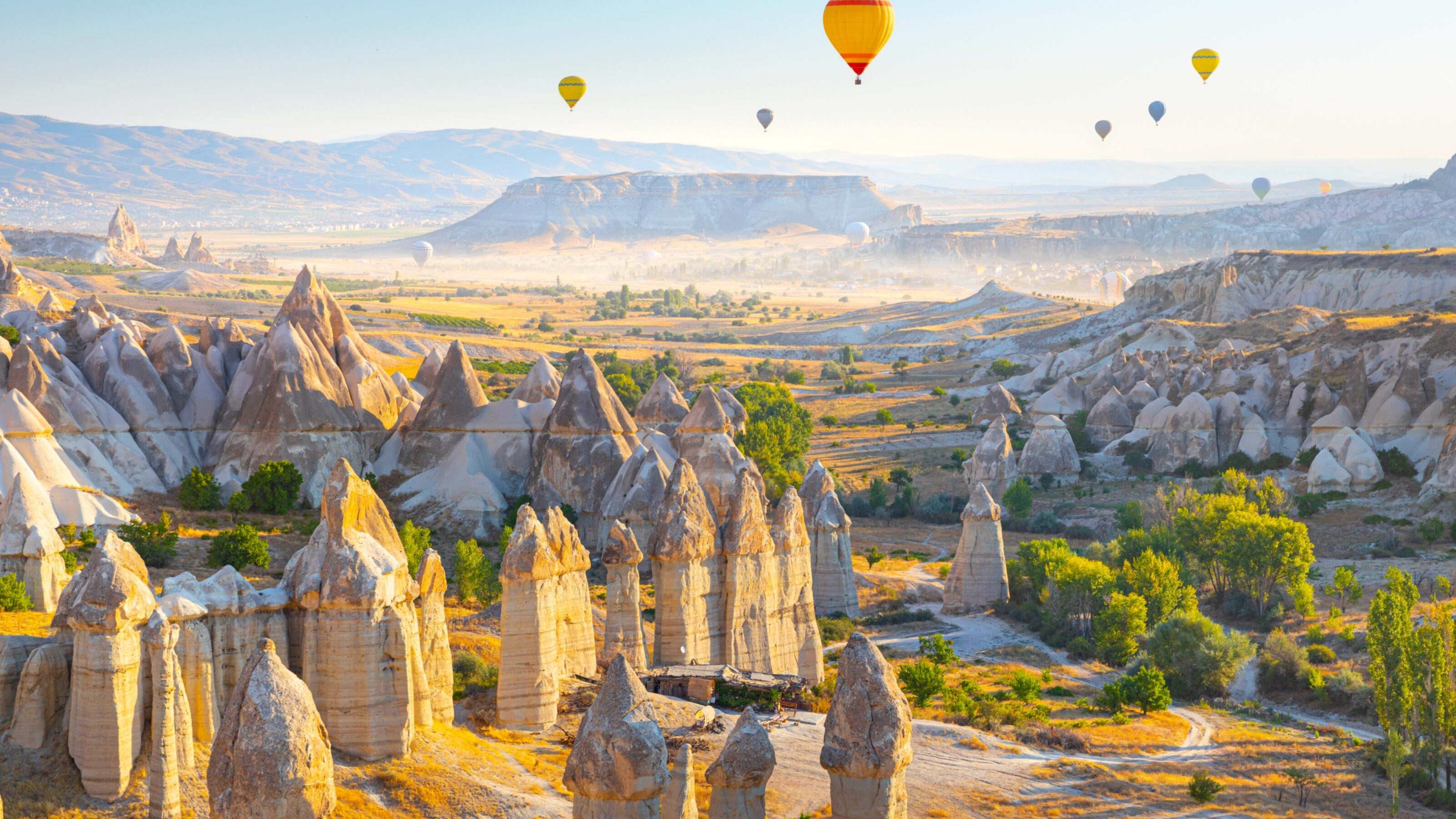 A Snapshot of Turkey