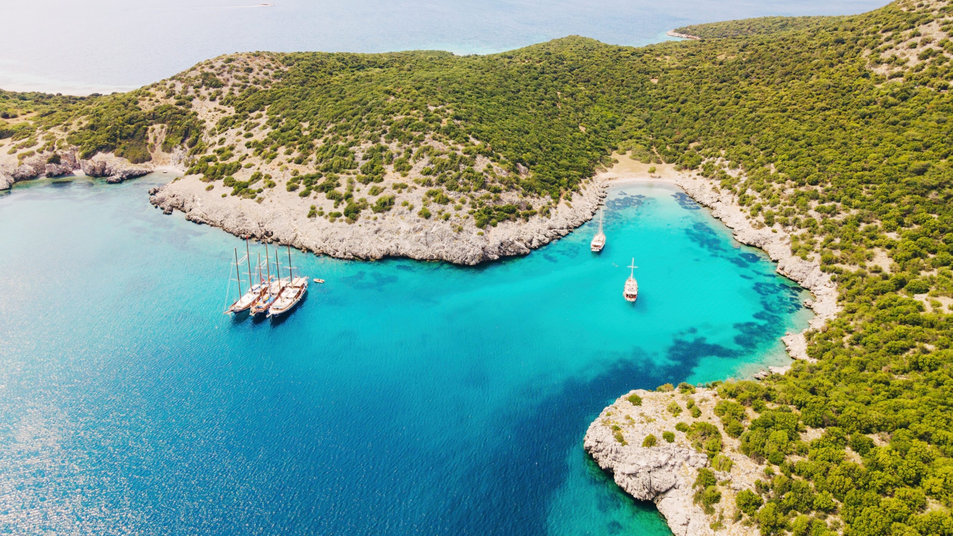 A Snapshot of Turkey