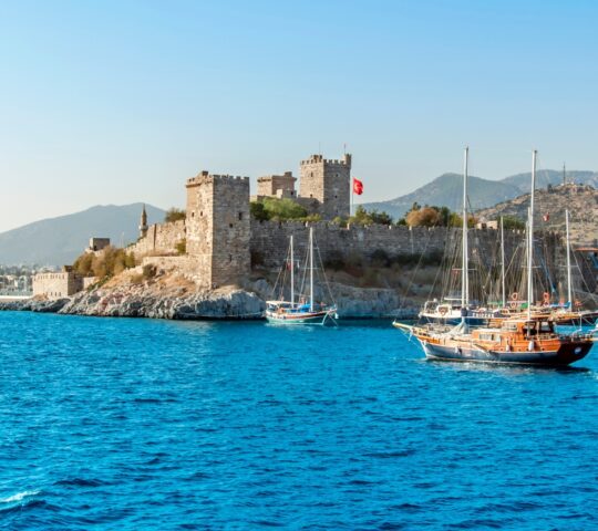 See Bodrum's immense castle