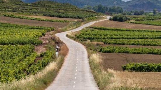 A winding road passes through cultivated fields and vineyards, leading towards distant rolling hills and mountains.