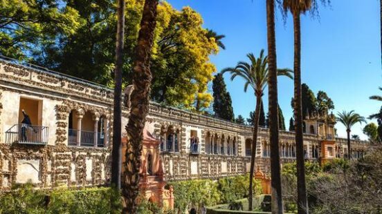 Tall palm trees frame the intricate stone wall and manicured hedges of the historic Alcázar palace gardens in Seville.