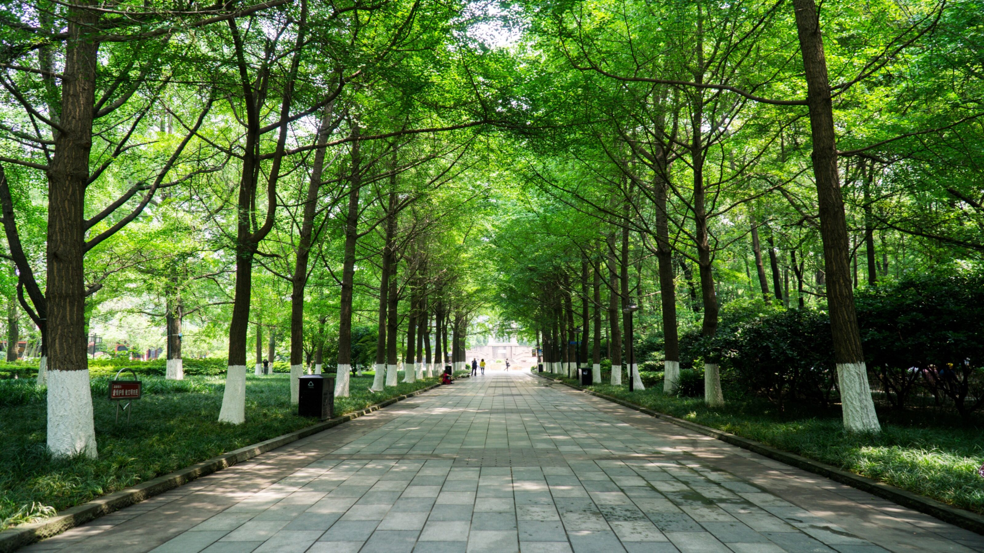 Discovering Southern China