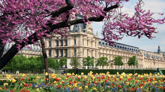 Blossom trees and flowers blooming in Paris