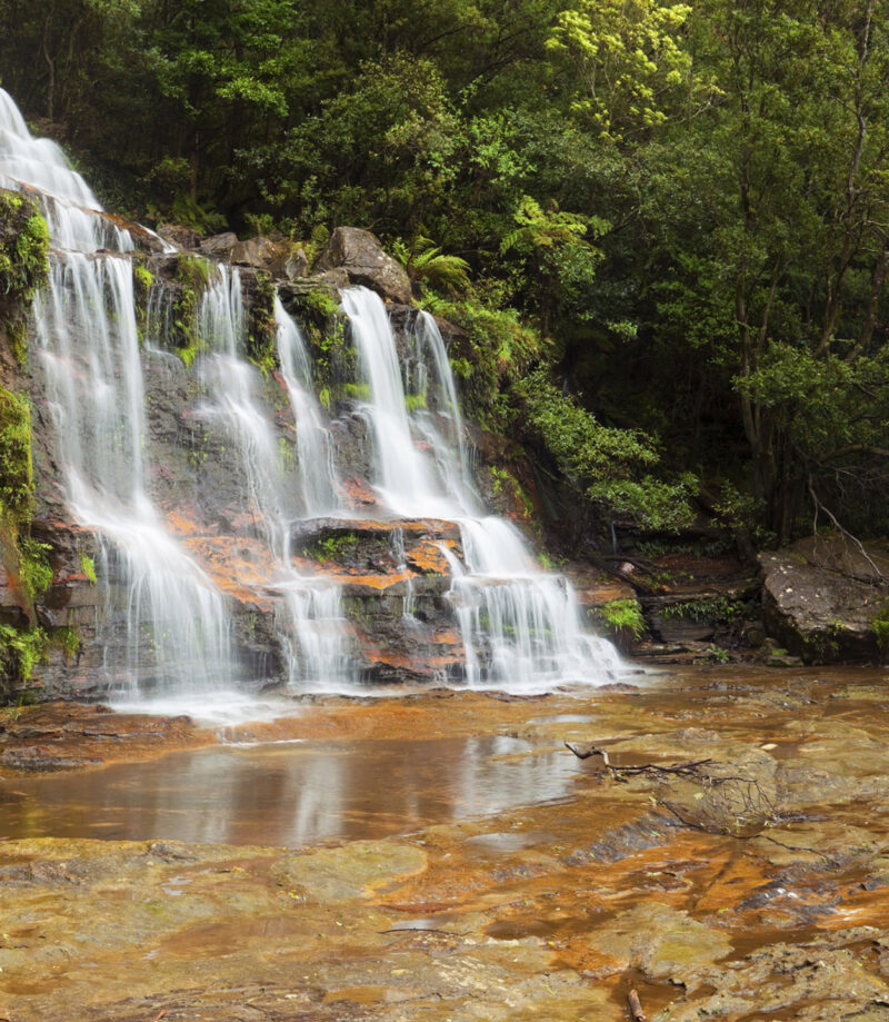 The Katoomba Falls in the Blue Mountains National Park, New South Wales, Australia. A seamlessly stitched panoramic image with a total size of 66 megapixels. [url=file_closeup.php?id=14718675][img]file_thumbview_approve.php?size=1&id=14718675[/img][/url] [url=http://www.istockphoto.com/search/lightbox/9291611/?refnum=sara_winter][img]http://sarawinter.com/istockphoto/australia.jpg[/img][/url] [url=http://www.istockphoto.com/search/lightbox/6656286/?refnum=sara_winter][img]http://www.sarawinter.com/istockphoto/image.php?type=landscapes[/img][/url]