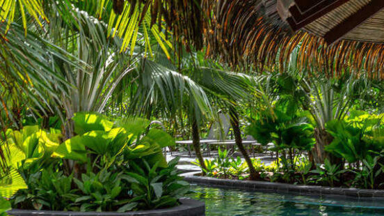 Tabacon Thermal Resort & Spa Agua Ardiente Pool Bar