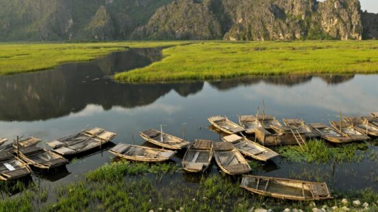 Small wooden boats in water surrounded by rice fields in Vietnam