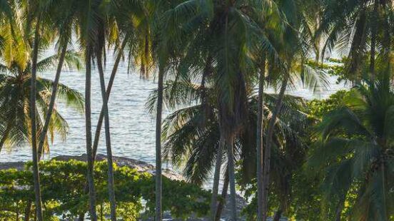 The Guanacaste Coast in Costa Rica.